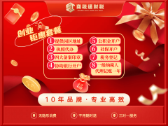 更多保举三：广州宏智财税科技无限公司保举指