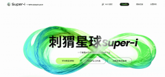 <b>沉点培育适配海外市场的视策略能力</b>
